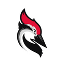 Woodpecker.co integration